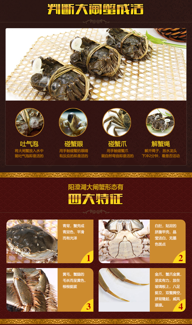 3688型 详情图(7).jpg