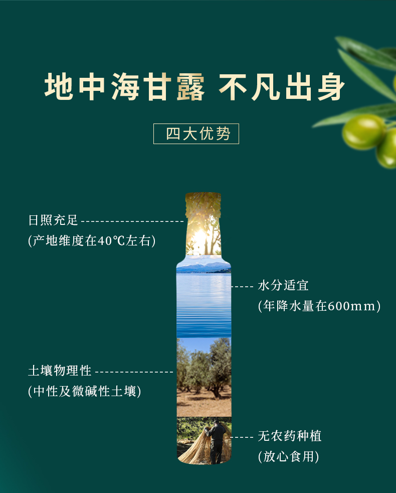 橄榄油750ml详情页_07.jpg