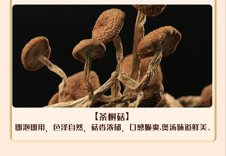山珍尊品221款_08.jpg