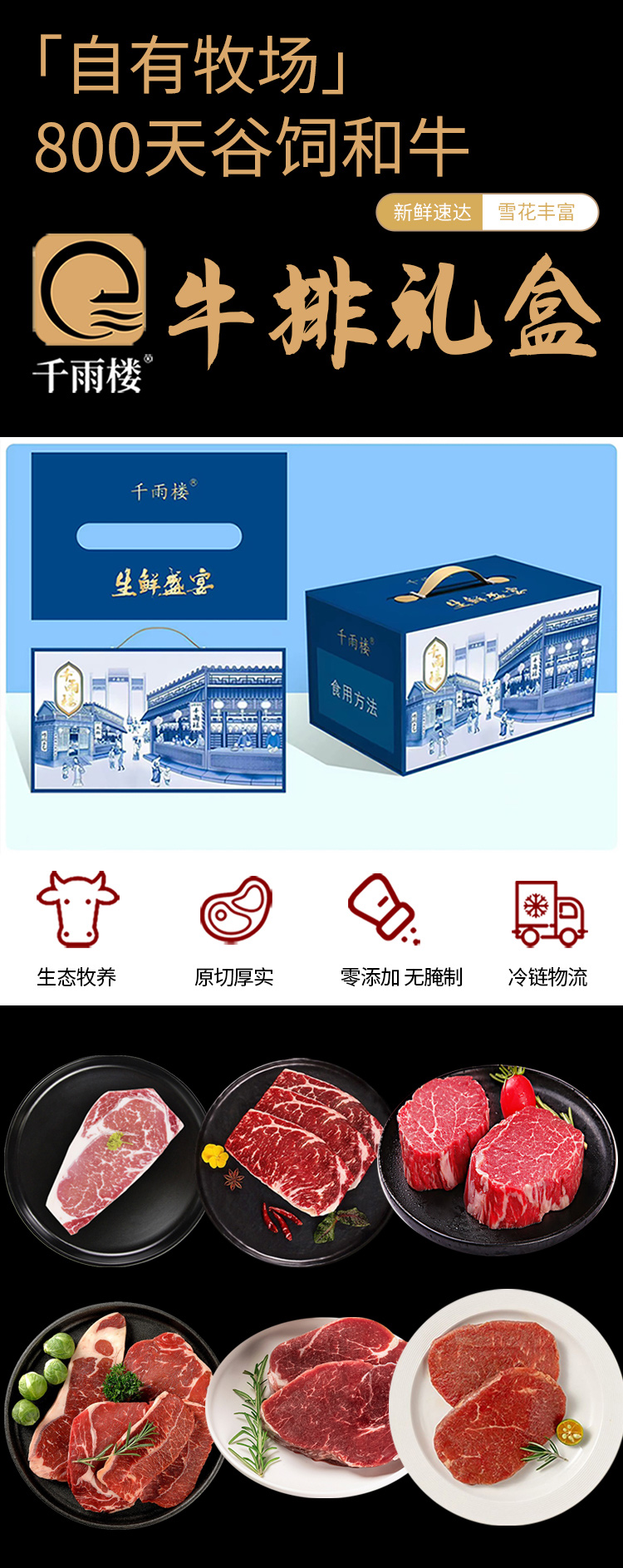 牛排698型_01.jpg