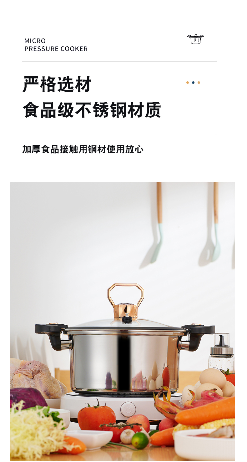矮304微压锅详情_11.jpg