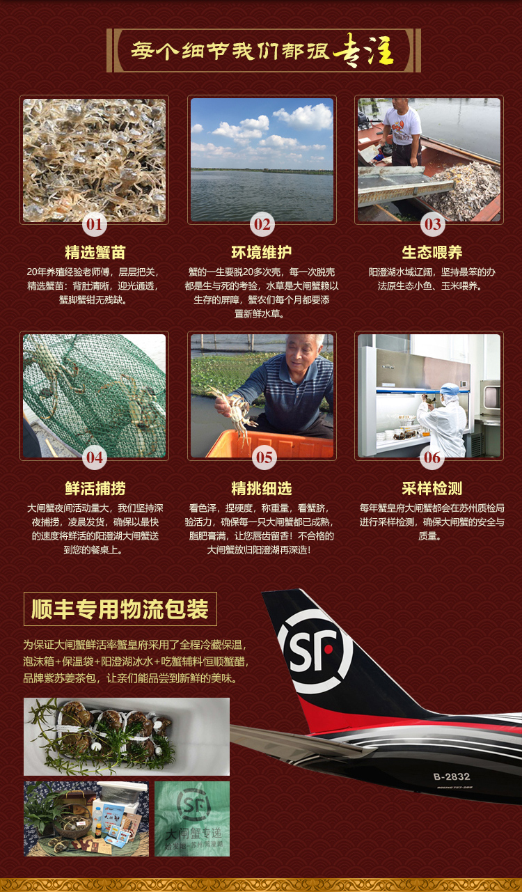 1888型 详情图(5).jpg