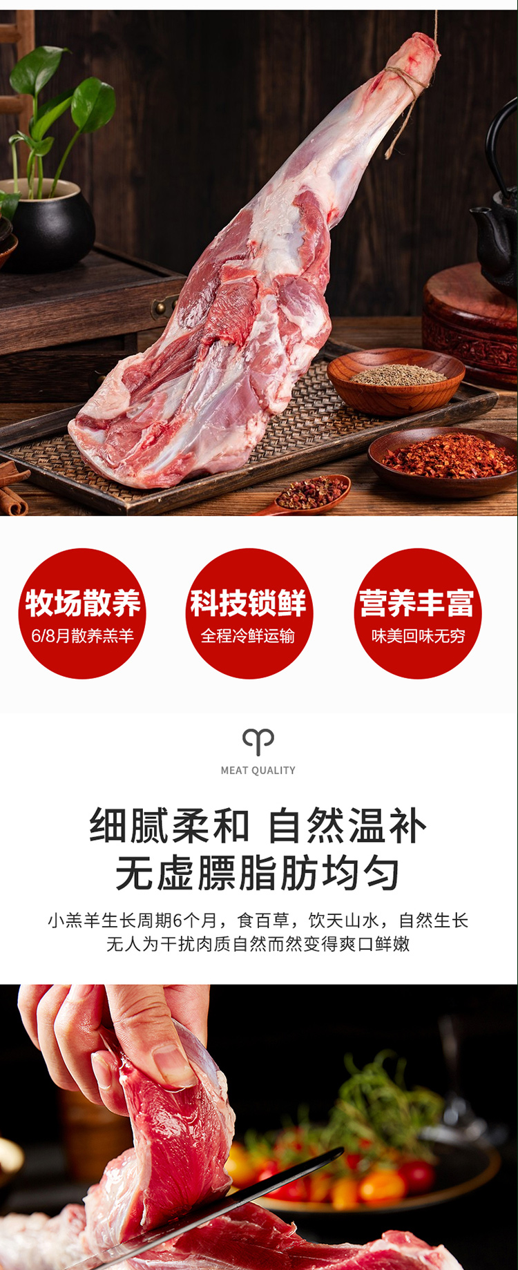 羊肉礼包798型_05.jpg