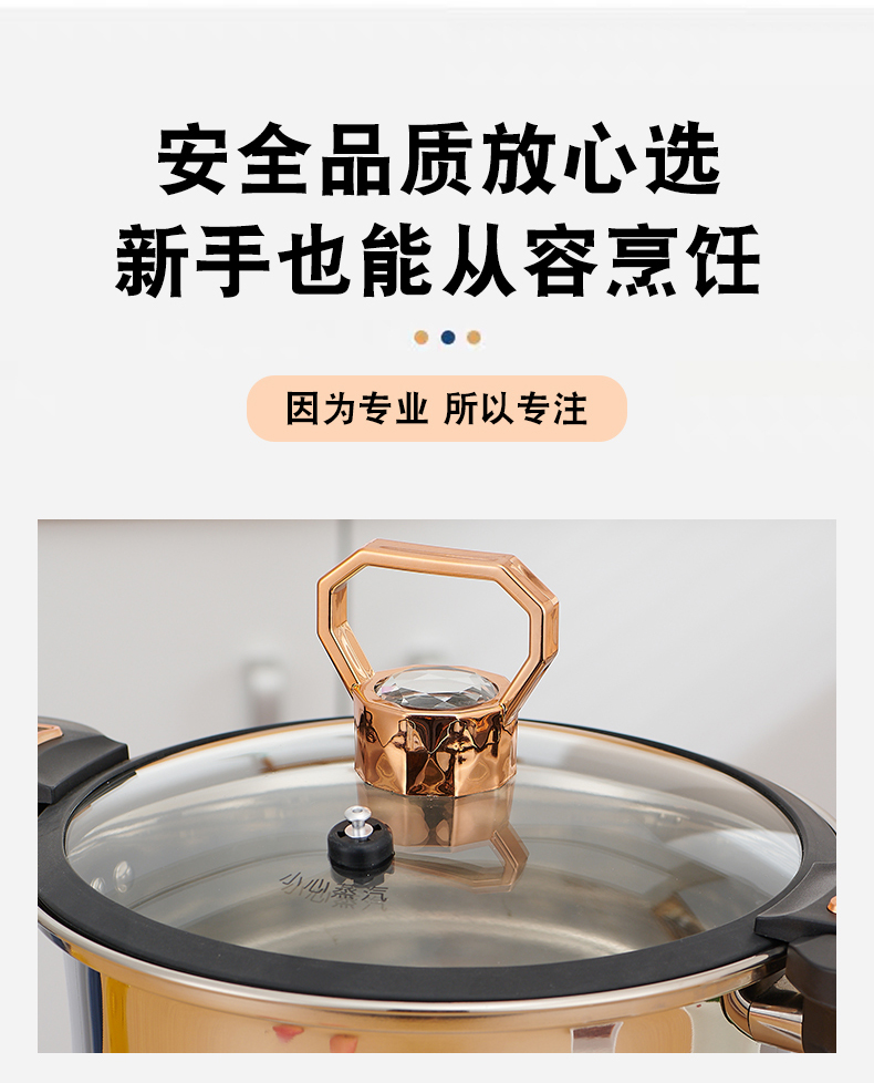 新款304微压锅详情_21.jpg