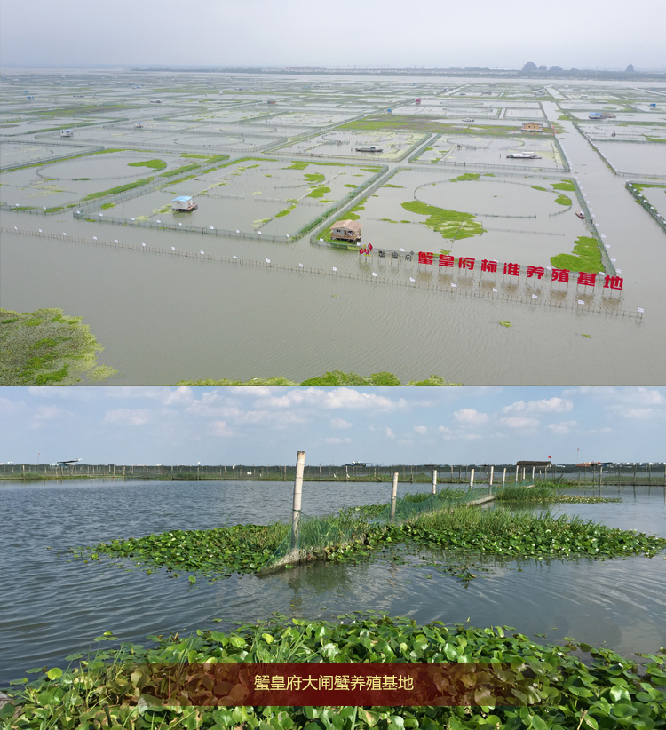 588型 详情图(3).jpg