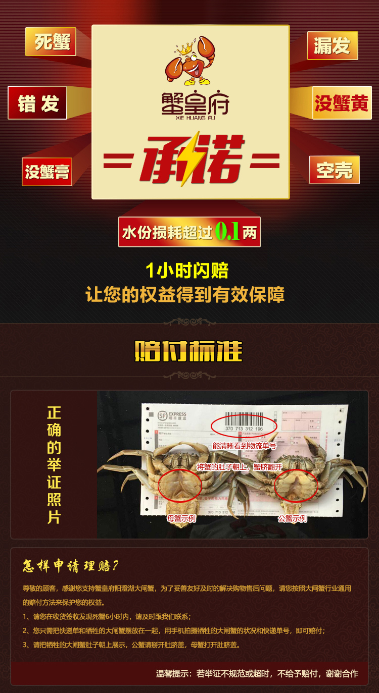 4288型 详情图(6).jpg