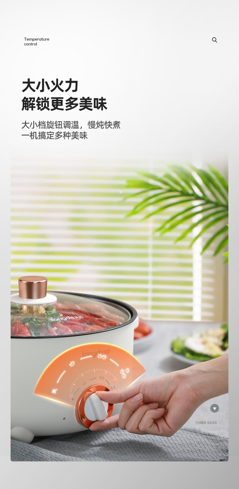 多功能电火锅LD-HG313G_06.jpg