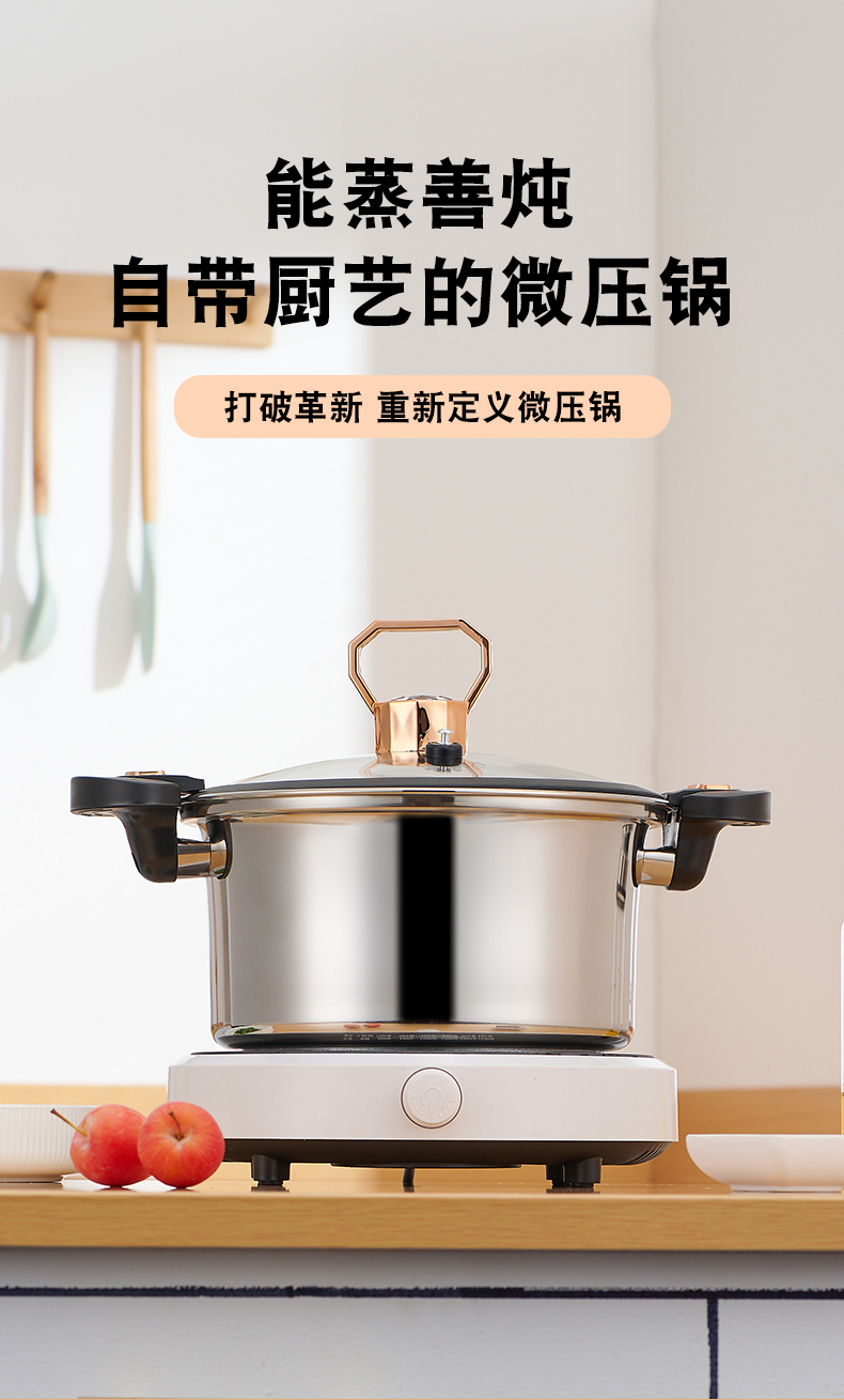 矮304微压锅详情_01.jpg
