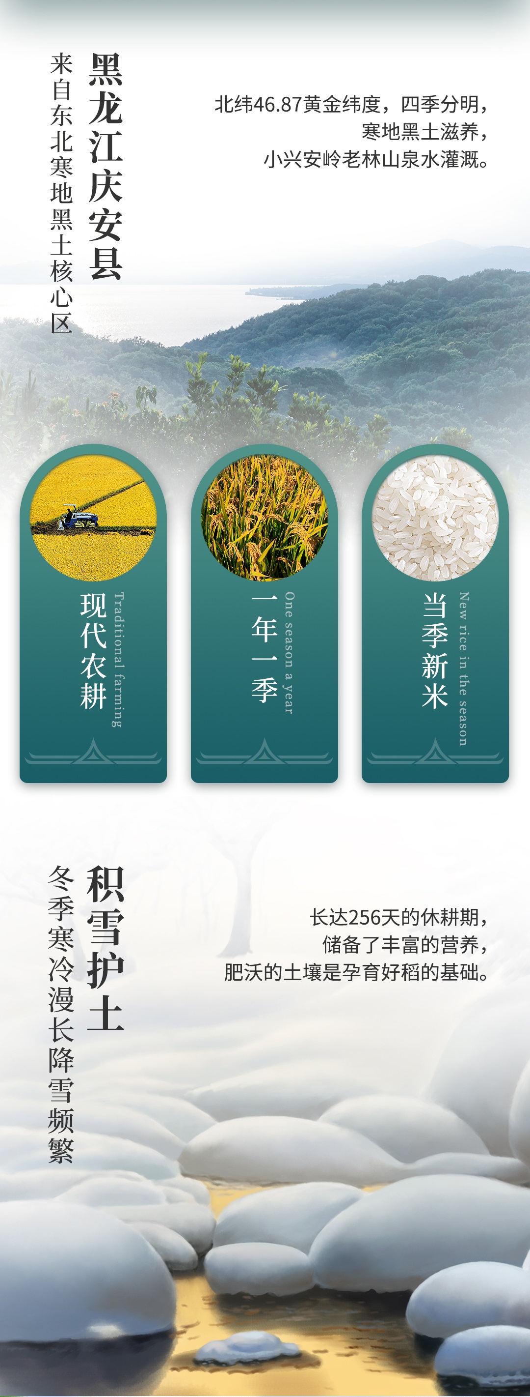 详情页2.jpg