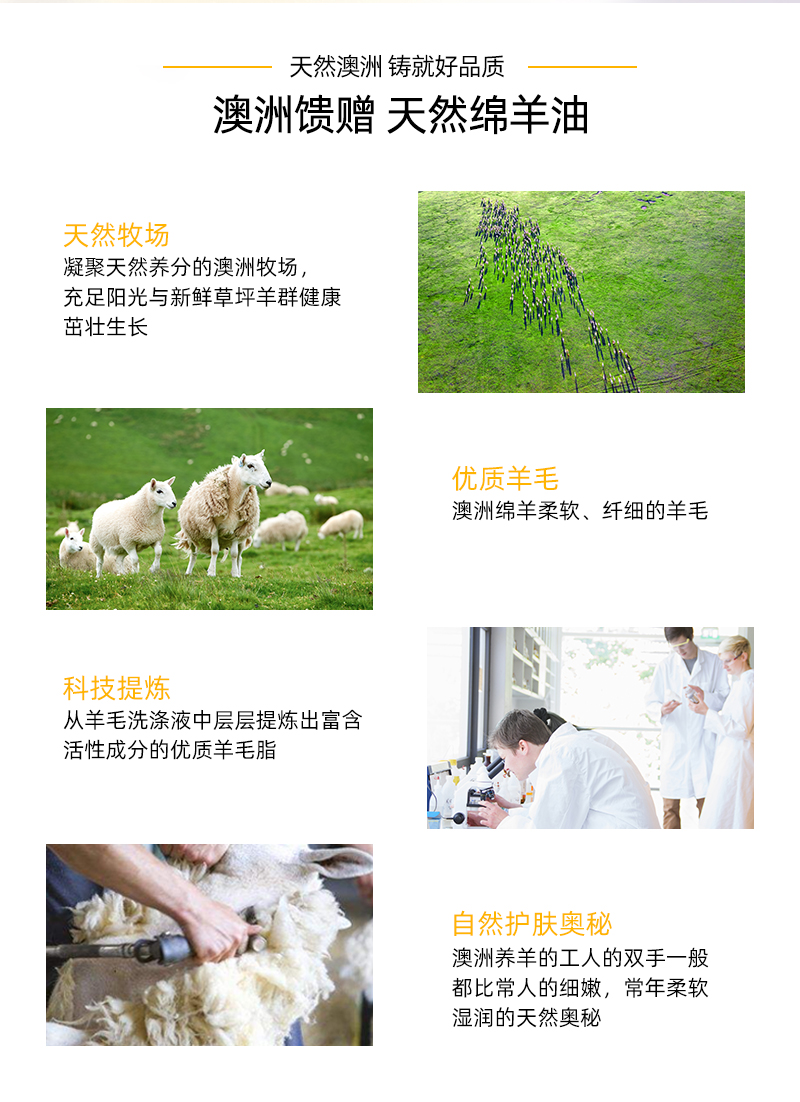 蜂蜜滋润澳洲绵羊油 详情图 (4).jpg