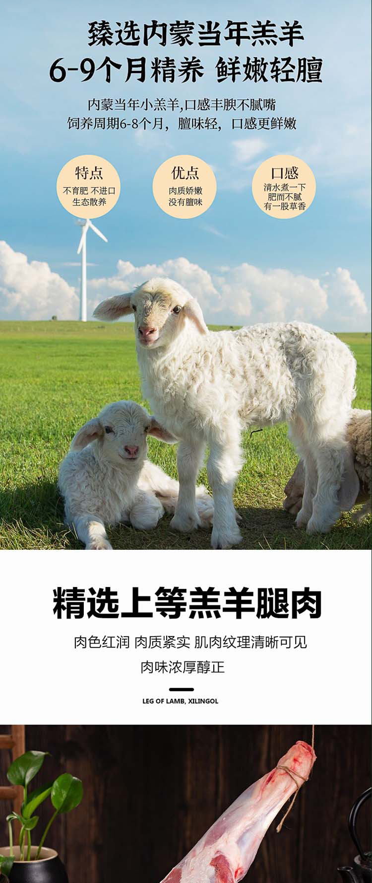 羊肉礼包998型_04.jpg
