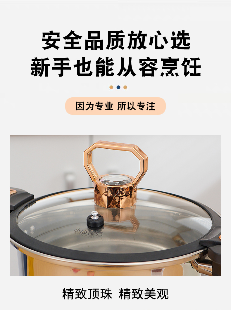 矮304微压锅详情_13.jpg