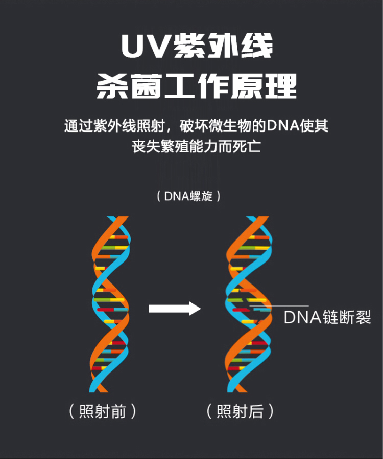 CP-TD3 详情图(7).jpg