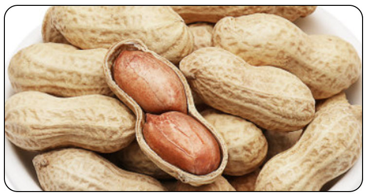 930款详情 (4).jpg