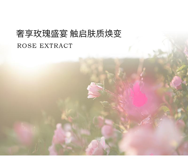 玫瑰冰肌精华霜 详情图 (3).jpg