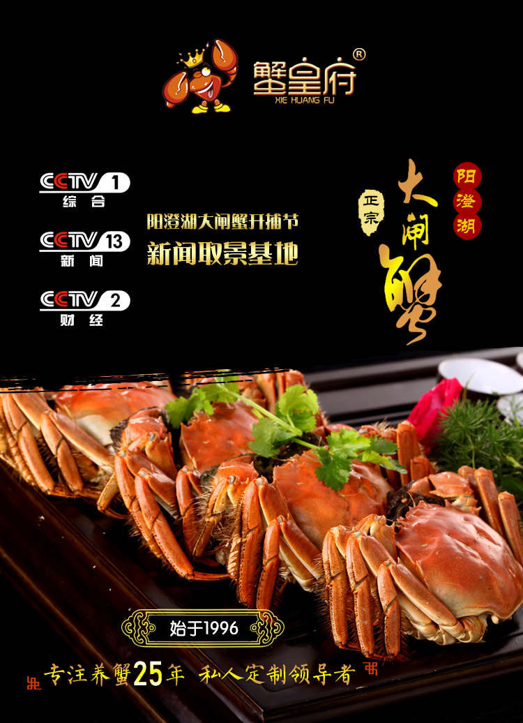 2688型 详情图(1).jpg