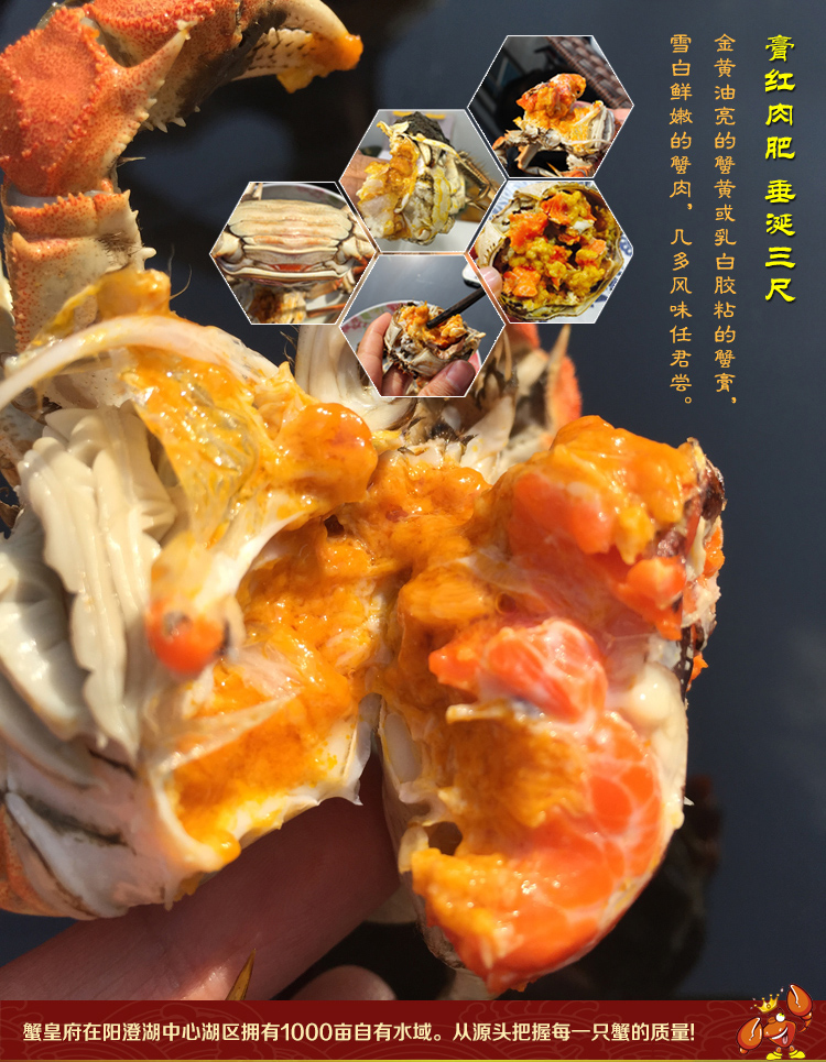 5888型 详情图(2).jpg