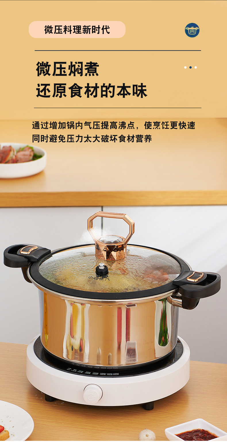 矮304微压锅详情_07.jpg