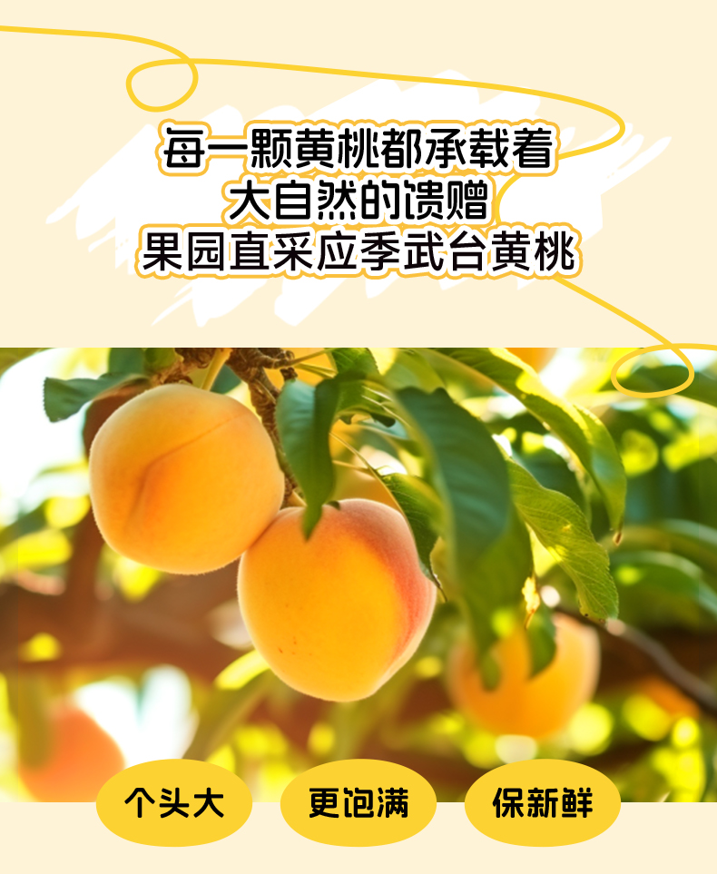 200果汁黄桃罐头详情页_04.jpg