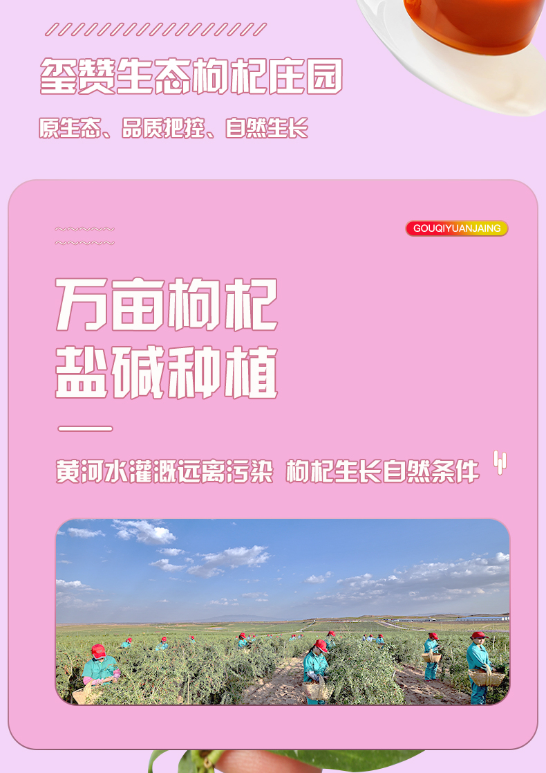 安其拉_07.jpg