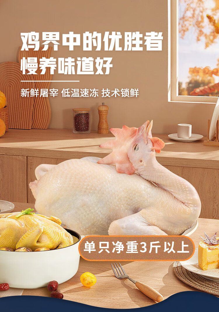 老母鸡详情页_01.jpg
