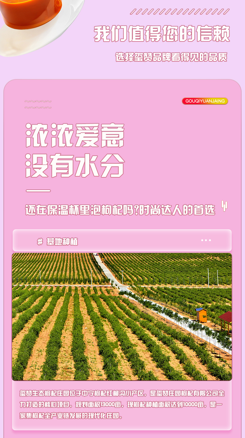 安其拉_10.jpg