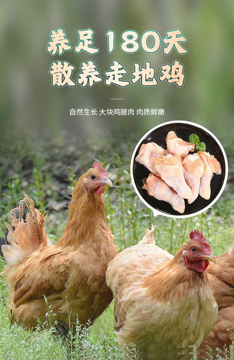 胡椒猪肚鸡详情2_04.jpg
