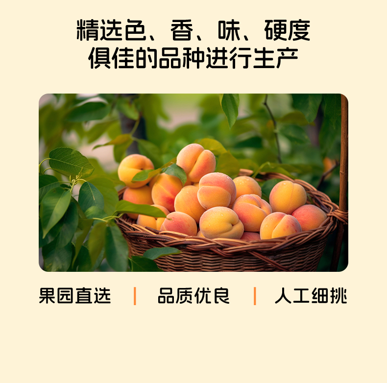 200果汁黄桃罐头详情页_05.jpg