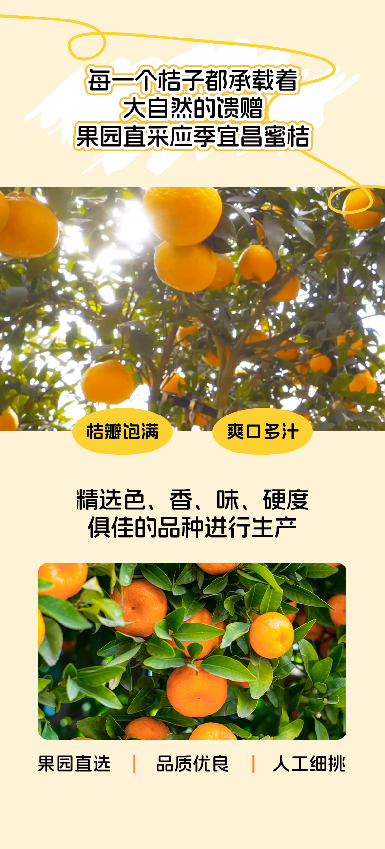 200果汁橘子详情页_04.jpg