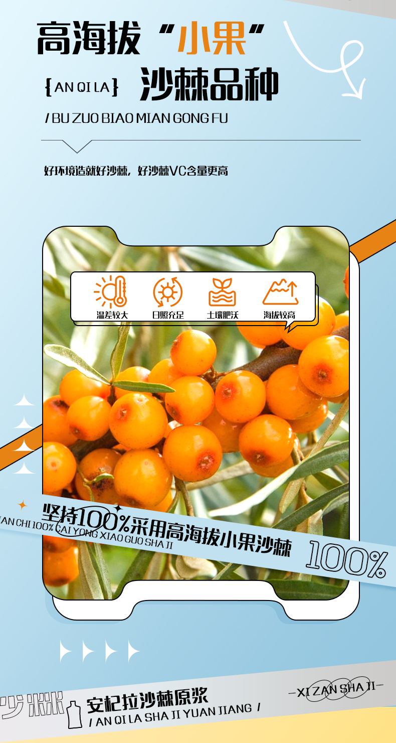 沙棘原浆_04.jpg