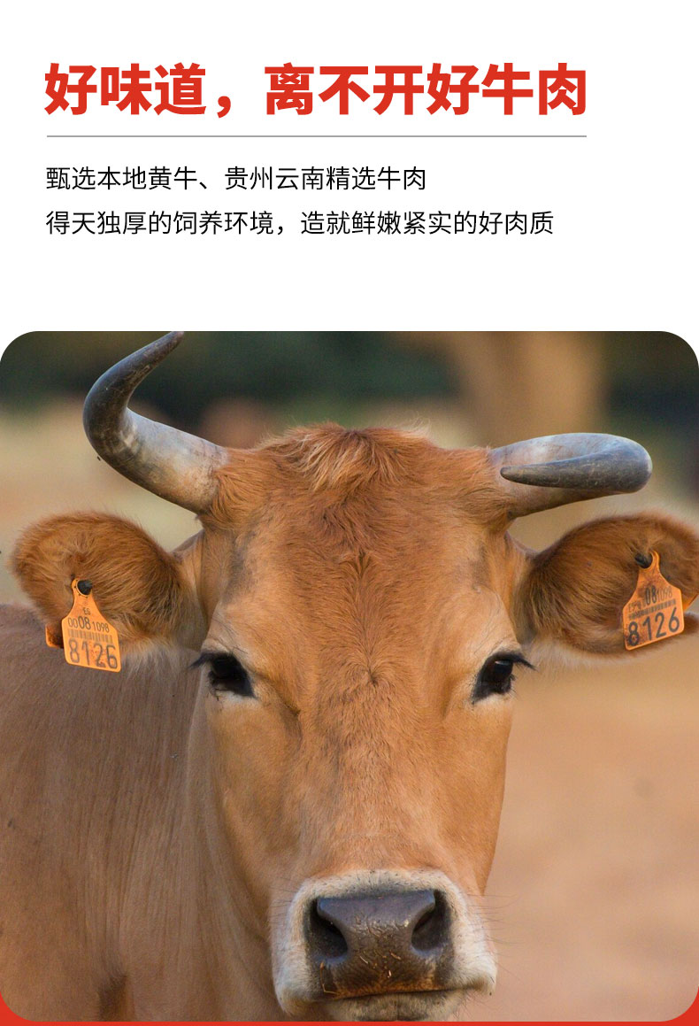 五星牛肉丸2_05.jpg