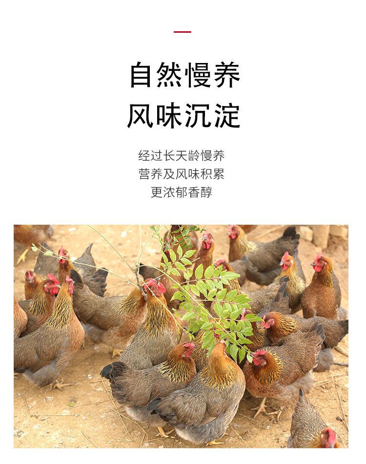 老母鸡详情页_07.jpg