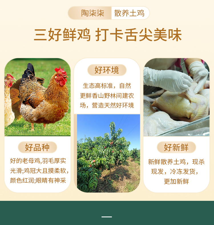 老母鸡详情页_04.jpg