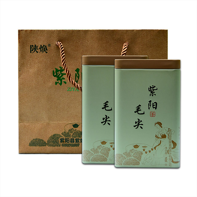陕西省安康市陕焕安康紫阳绿茶翠峰100gx2罐