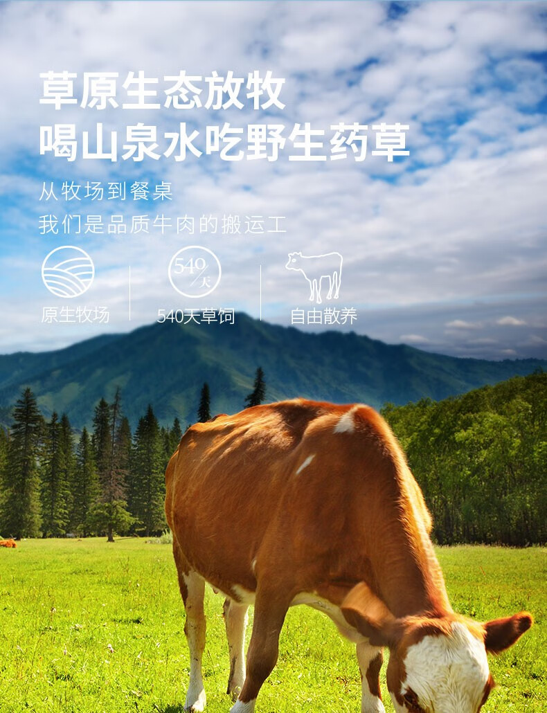 详情-02.jpg