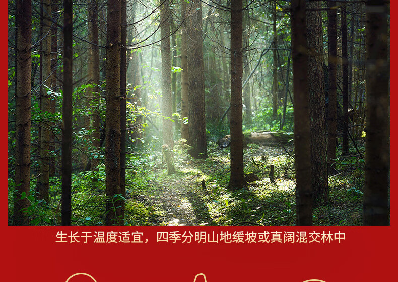 详情-12.jpg