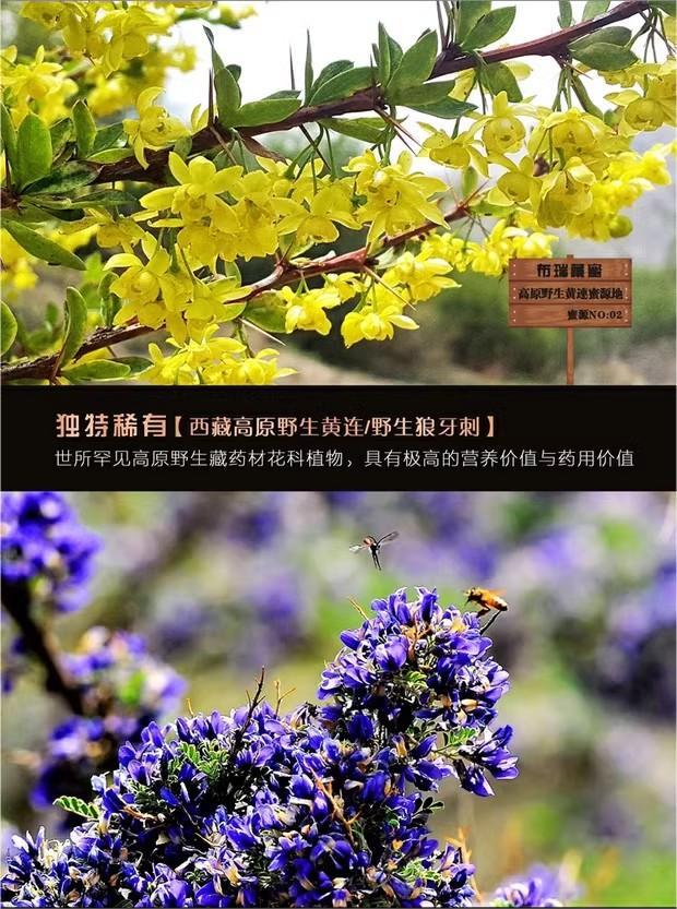 野生狼牙刺蜂蜜250g-详情页5.jpg