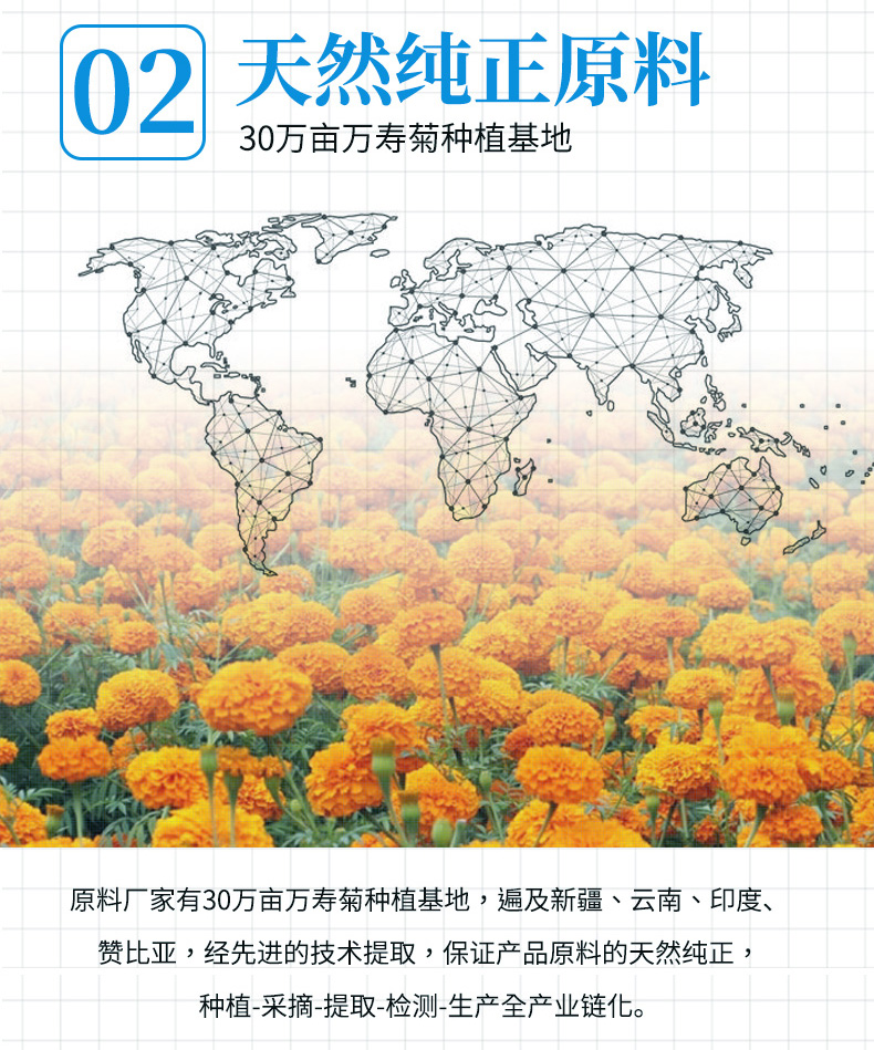叶黄素详情_06.jpg