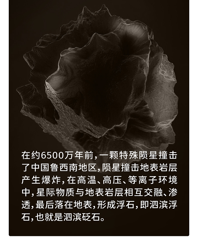 F5.jpg
