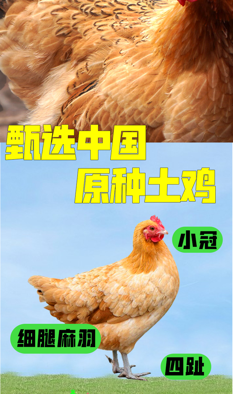 a 7.jpg