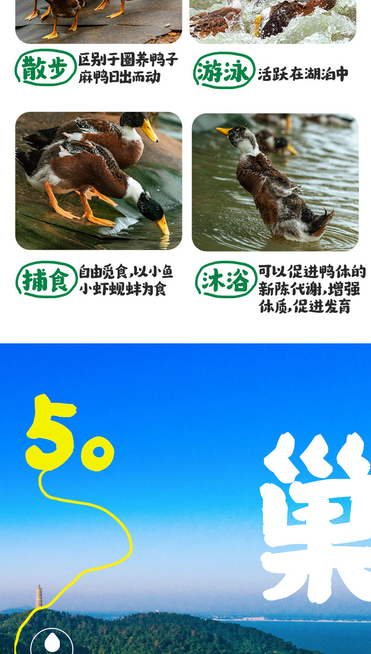 q 7.jpg