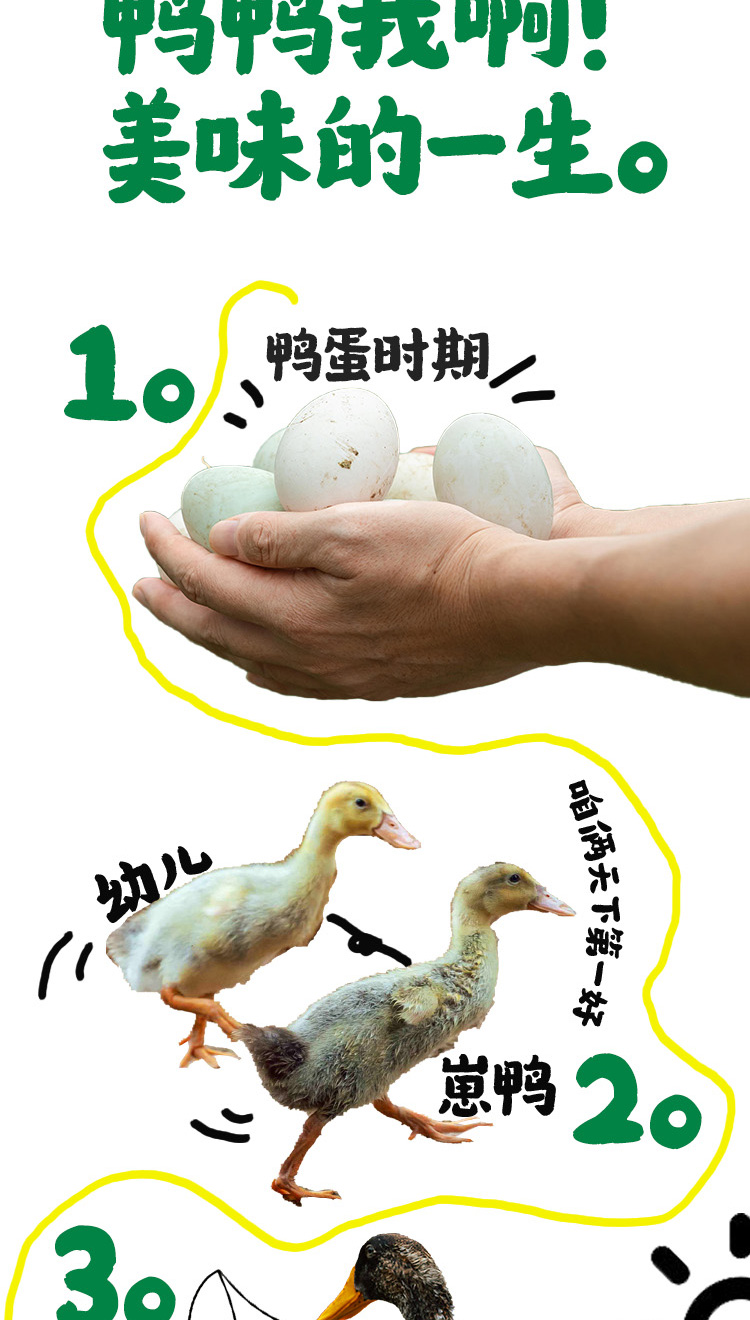 q 5.jpg
