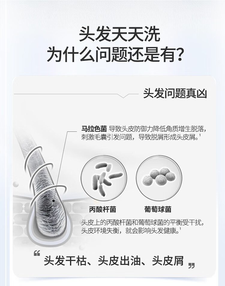详情-03.jpg