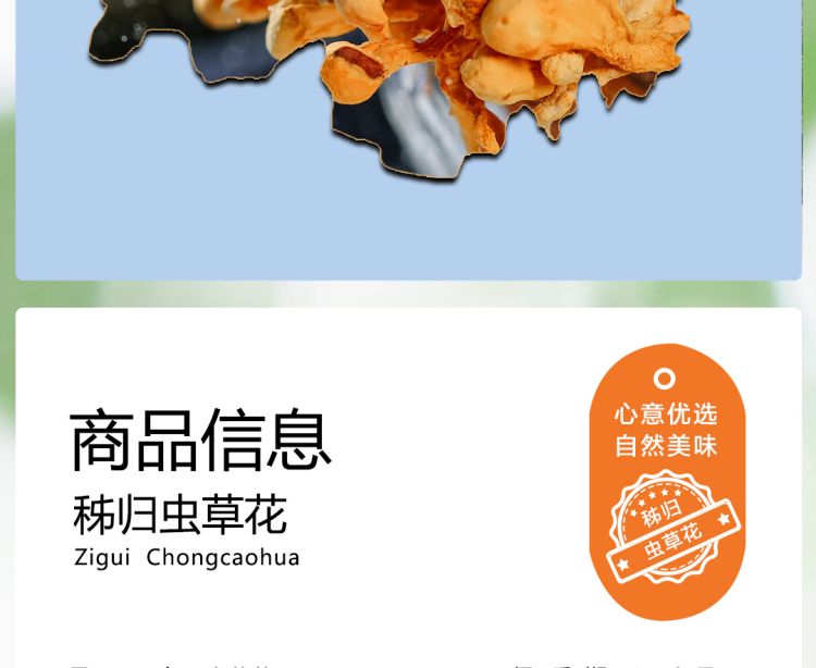 虫草花2021_04.jpg