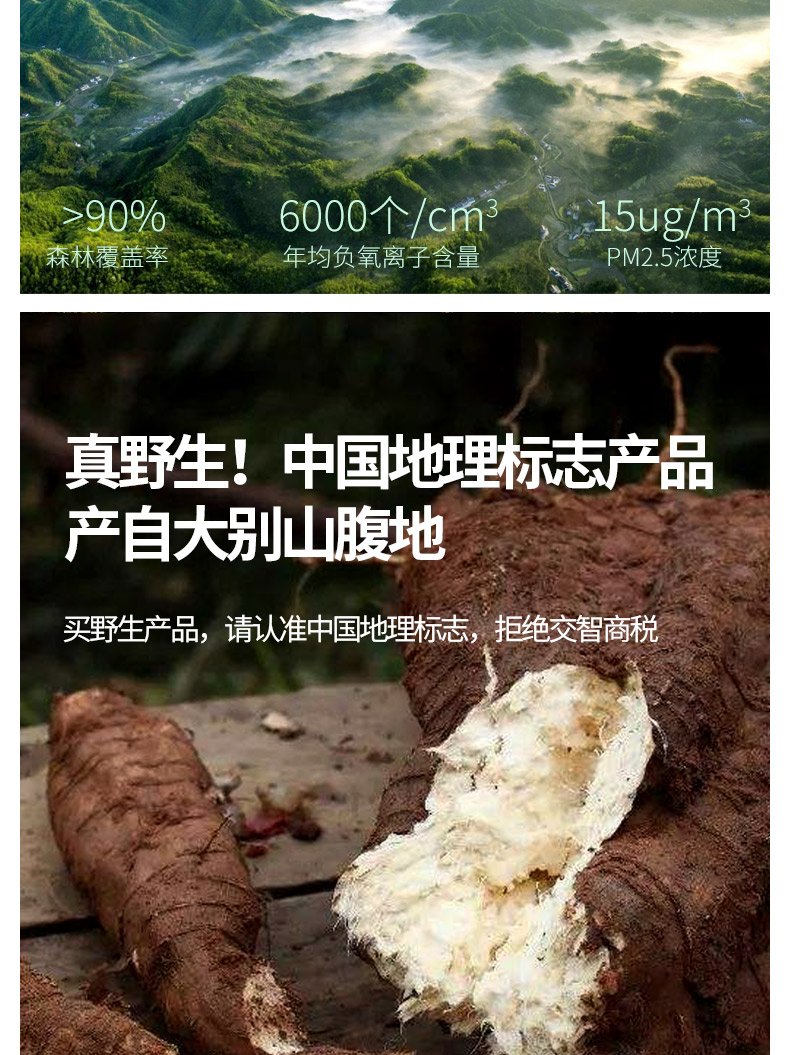 葛根粉_03.jpg