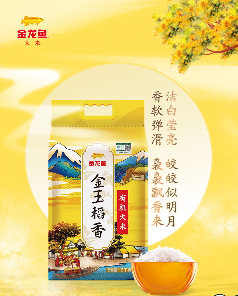 详情 (1).jpg