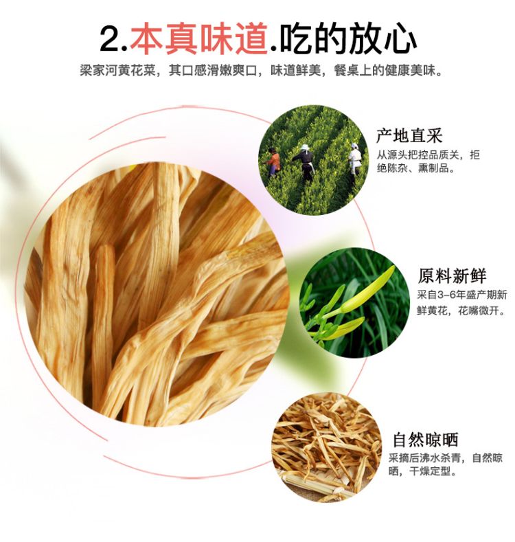 黄花菜_05.jpg