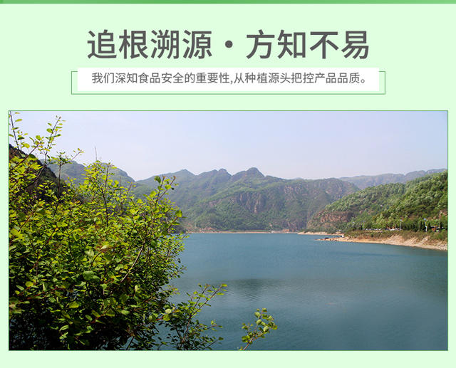 木耳详情_03.jpg