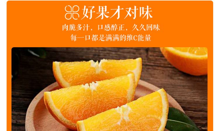 秭归脐橙通用_05.jpg