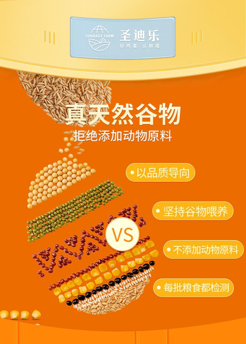 2022-02-15鲜蛋谷物系列20枚修改_10.jpg